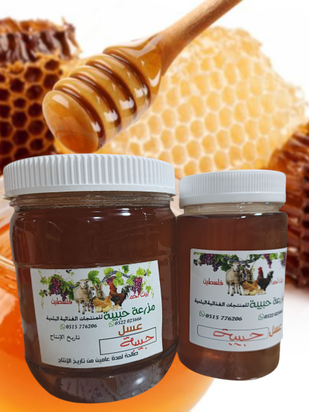 عسل بلدي