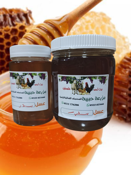 عسل سدر