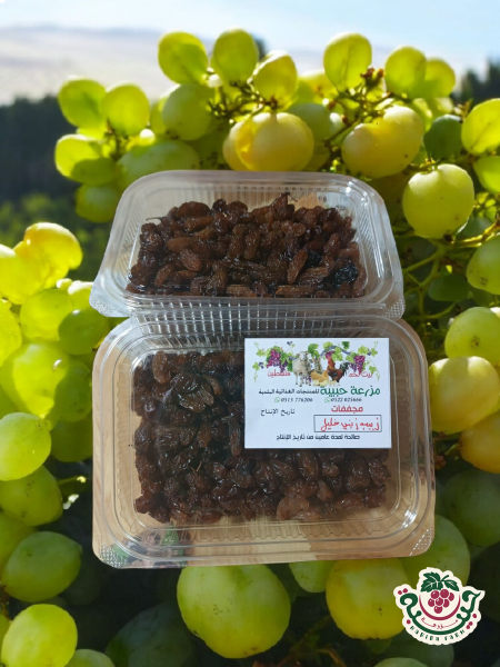 زبيب زيني الخليل