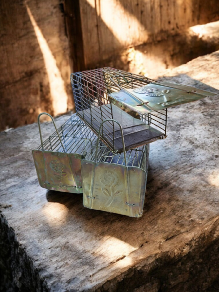 مصائد فأران